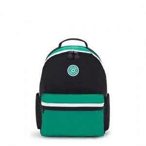 Kipling Damien Medium Laptop Backpack Deep Green Black | K-5293681