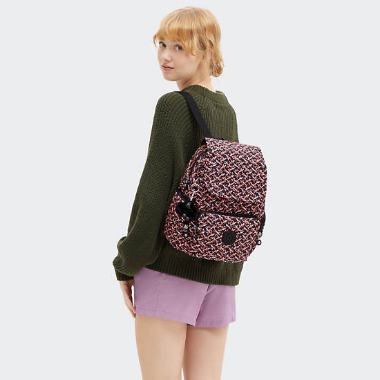 Kipling City Zip Small Printed Backpack Multicolor | K-3785620